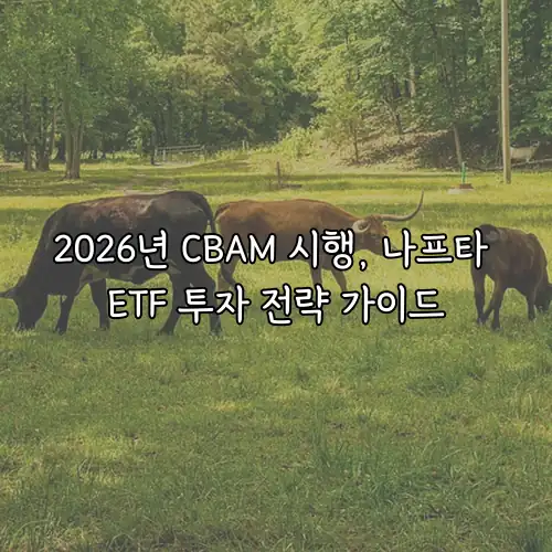 2026년 CBAM 시행, 나프타 ETF 투자 전략 가이드