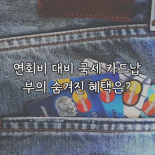 연회비 대비 국세 카드납부의 숨겨진 혜택은?
