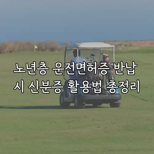 노년층 운전면허증 반납 시 신분증 활용법 총정리