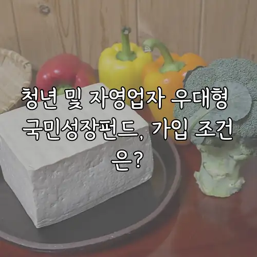 청년 및 자영업자 우대형 국민성장펀드, 가입 조건은?