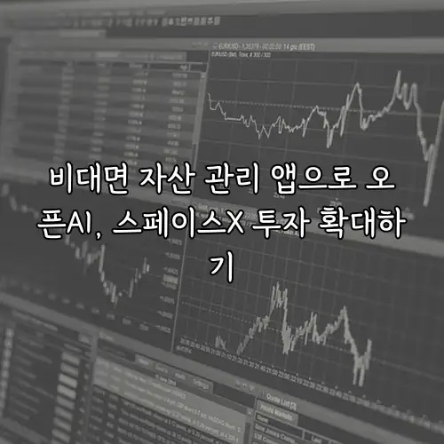 비대면 자산 관리 앱으로 오픈AI, 스페이스X 투자 확대하기