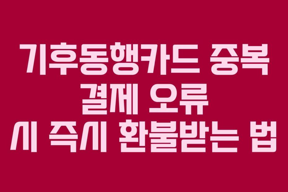 기후동행카드 중복 결제 오류 시 즉시 환불받는 법