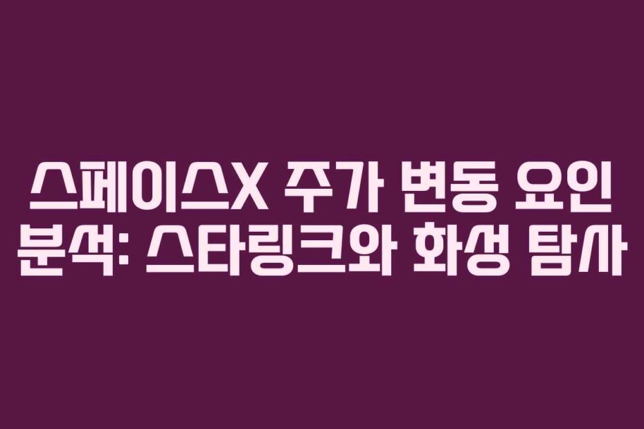 스페이스X 주가 변동 요인 분석: 스타링크와 화성 탐사