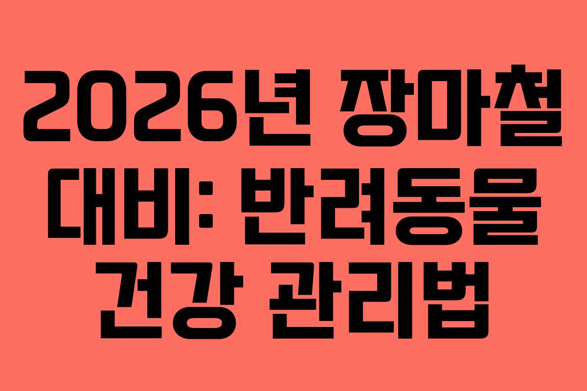 2026년 장마철 대비: 반려동물 건강 관리법