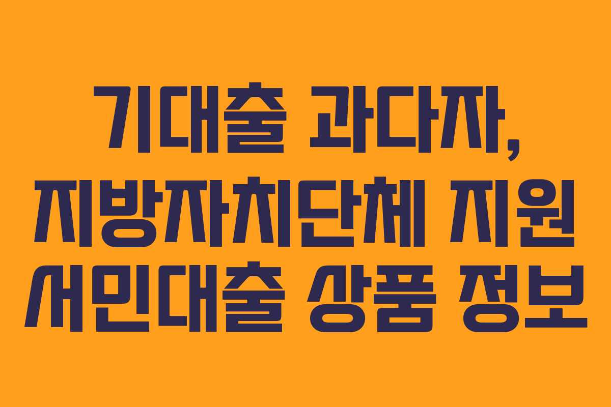 기대출 과다자, 지방자치단체 지원 서민대출 상품 정보