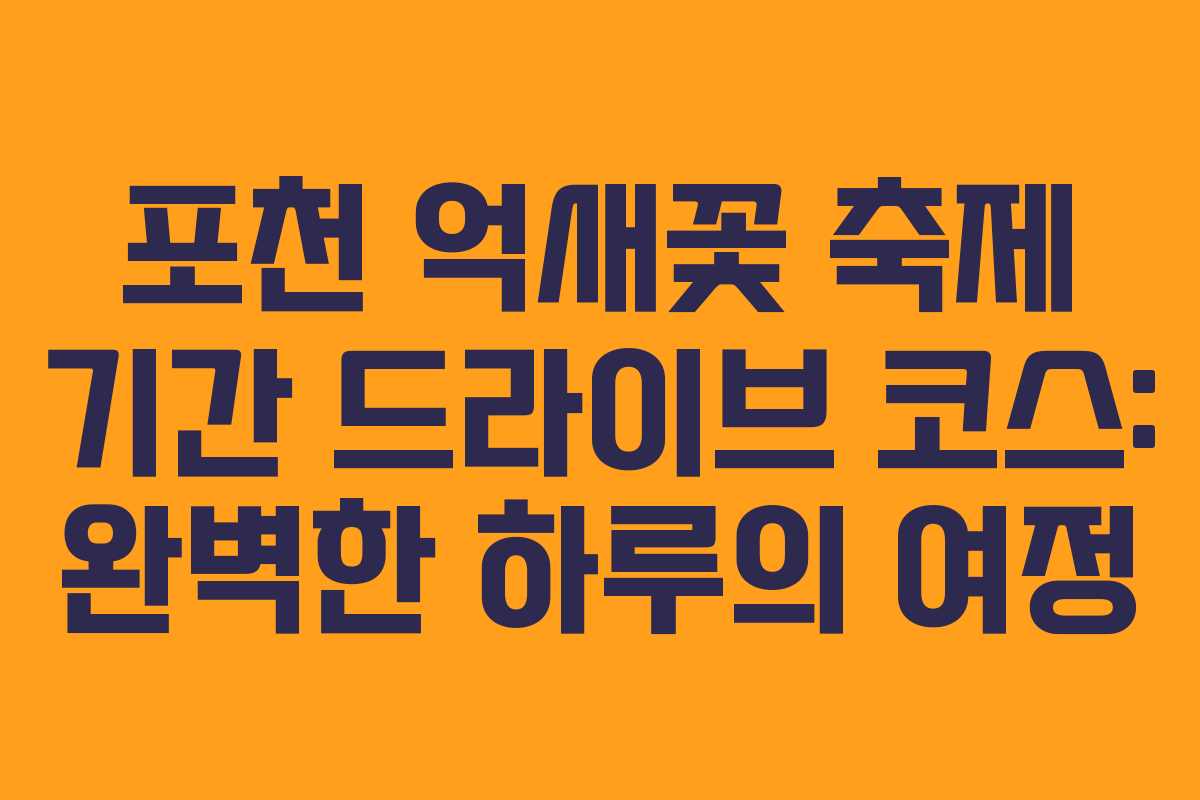포천 억새꽃 축제 기간 드라이브 코스: 완벽한 하루의 여정
